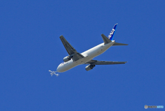 「良い空～」　ANA Cargo 767-381 JA8286+クロス