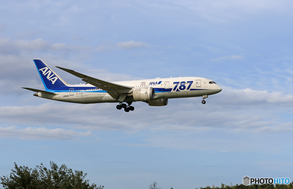 「青が大好き」 ANA 787-8 JA814A 到着