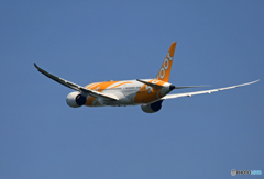 「すかい」 scoot 787-9 9V-OFA 飛び立ちです