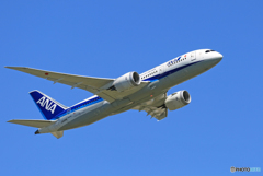 「良い空～」 ANA 787-8 JA838A 飛び立ちです