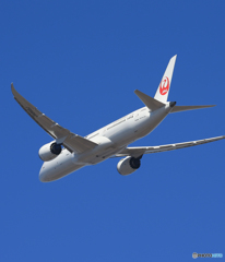 「あおいそら」 JAL 787-9 JAL869J Takeoff 