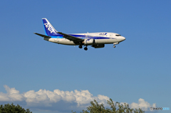 「はれ」 ANA 737-500 JA8196ドルフィン到着です