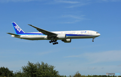 「真青の空」 ANA 777-381 JA777A