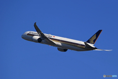 「青の空」Singapore A350-941 9V-SGC　Takeoff  