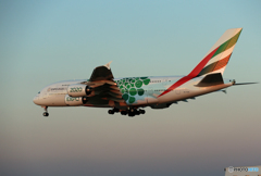 「晴れ」 エミレーツ航空 A380 EXPO「緑」