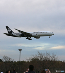 「青色が好き」Air NZ' 777-219 ZK-OK 飛行