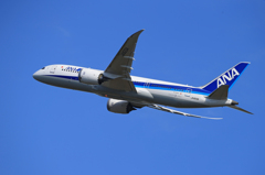 「ブルー」ANA 787-8 JA823A 出発 