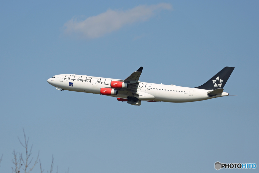 「はれー」 SAS A340-313 STAR OY-KBM 離陸 です