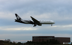 「令和」 NZ' 777-219 ZK-OKB  Landing 