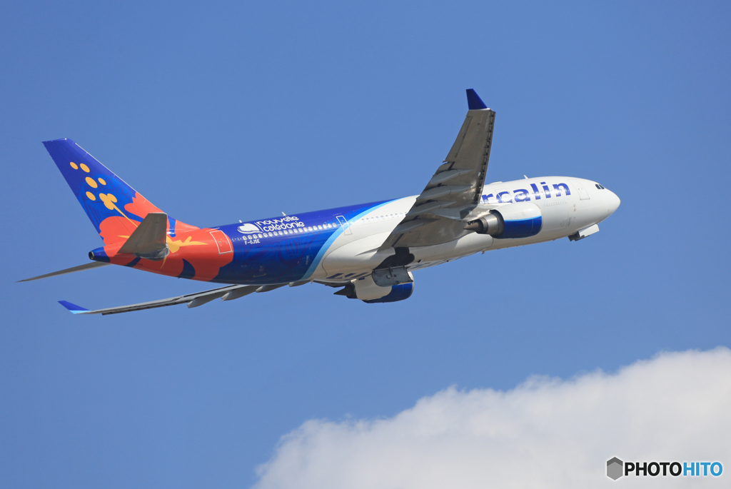 「青が好き」 Air Calin A330-202 F-OJSE 離陸です