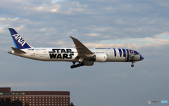 「あおいそら」ANA STAR WARS 787-8着陸