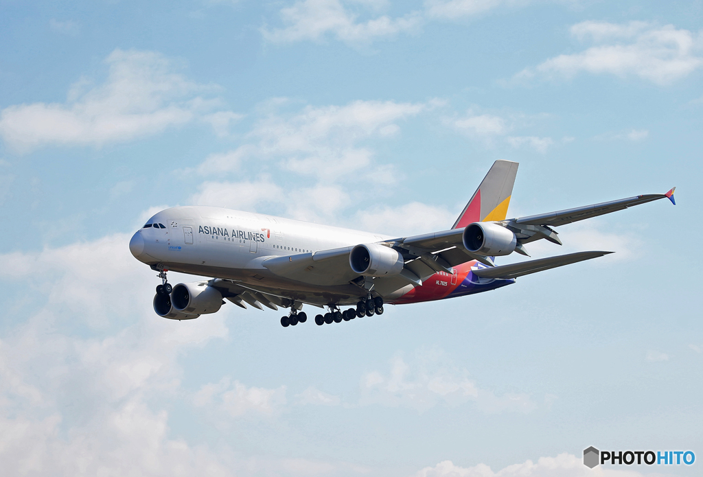 「Blue」 KOREAN A380-841 HL7625 Landing 