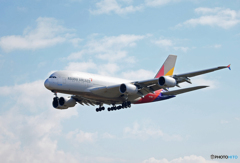 「Blue」 KOREAN A380-841 HL7625 Landing 