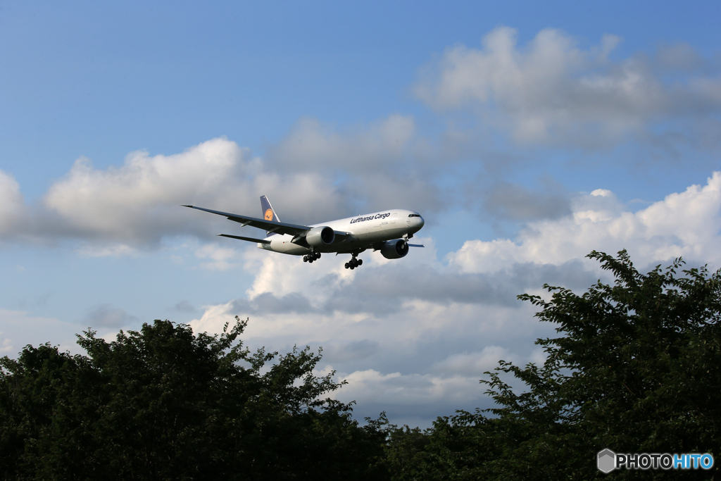 「すかい」 Lufthansa７７７D-ALFC 到着です