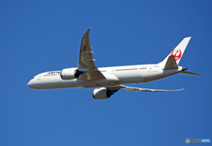 「SKY」 JAL 787-9 JA868J Takeoff