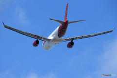 「青が大好き」 Lion Air A330-343 HS-LAH 離陸