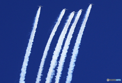 「Blue」✈追いかけて　おいかけてぇ~ ☮