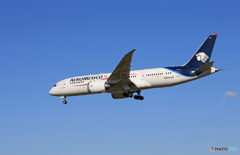 「群青色」AEROMEXICO 787-8 N966AM 着陸