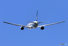 「あおいそら」 CATHAY 777-367 B-HNG 離陸します