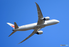 「群青」 JAL 787-9 JA862J Takeoff 