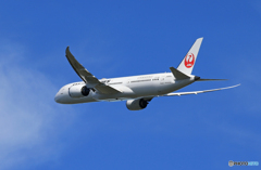 「青色」 JAL 787-9 JA869J 出発です