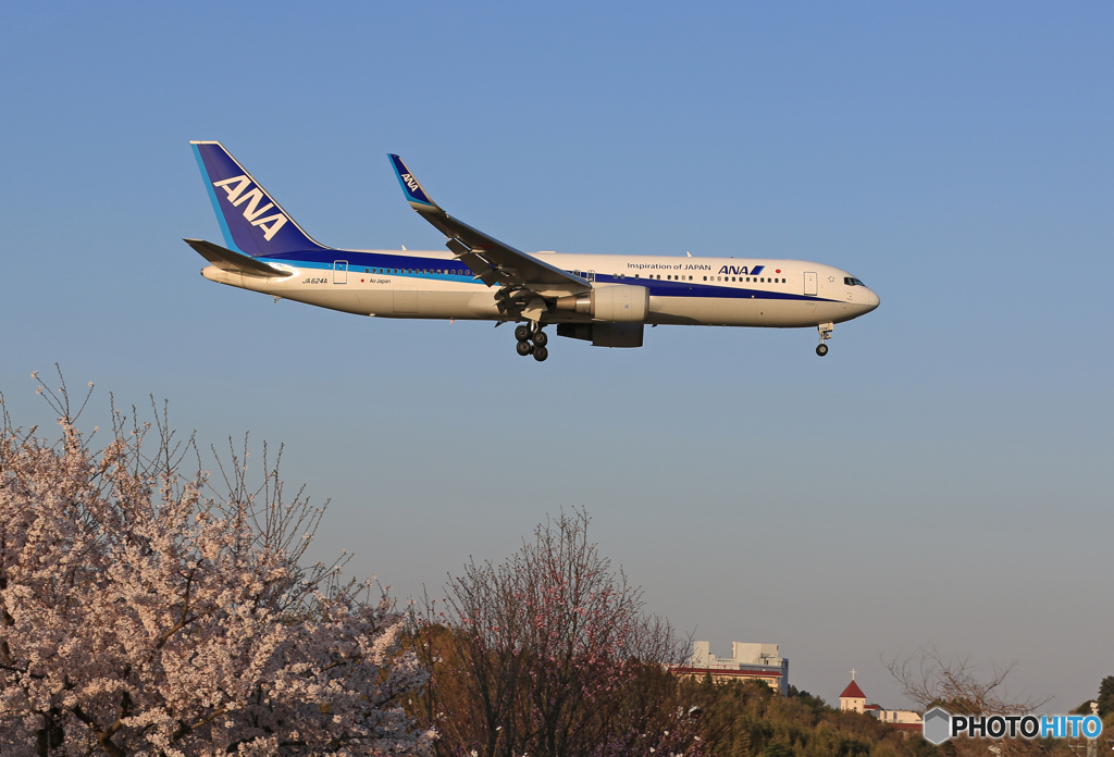 「すかい」 ANA 767-381 JA624A 着陸します