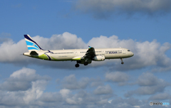 「Blue」 Air Busan A321-231 HL7731 到着