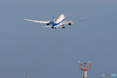 「青空」 ANA 787-9 JA877A Takeoff