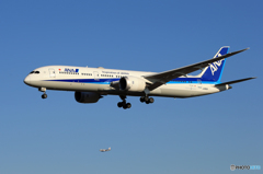 「Blue」 ANA 787-9 JA883A 着陸します