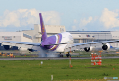 「青が大好き」 THAI A380-841 着陸