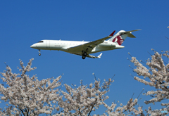 ☮桜の願い事？ Private ☮ボンバルディア BD700