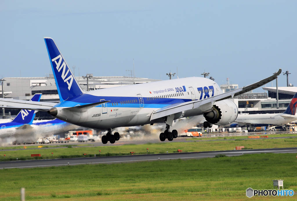 [青い空] ANA 787-8 JA806A Landing