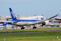 [青い空] ANA 787-8 JA806A Landing