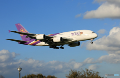 「青が大好き」 THAI A380-841 HS-TUE 着陸です