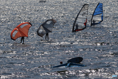 「良い天気」ウイング　と　ウインドサーフィン