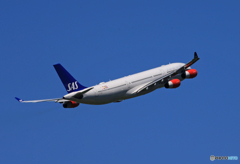 「そらー」SAS A340-313 OY-KBI 離陸