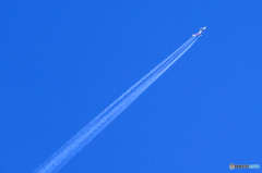 ☀「青い空」が一番     大きな飛行機雲✈アシアナA380✈