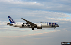 「ブルー」 ANA STAR WARS 787-8 到着