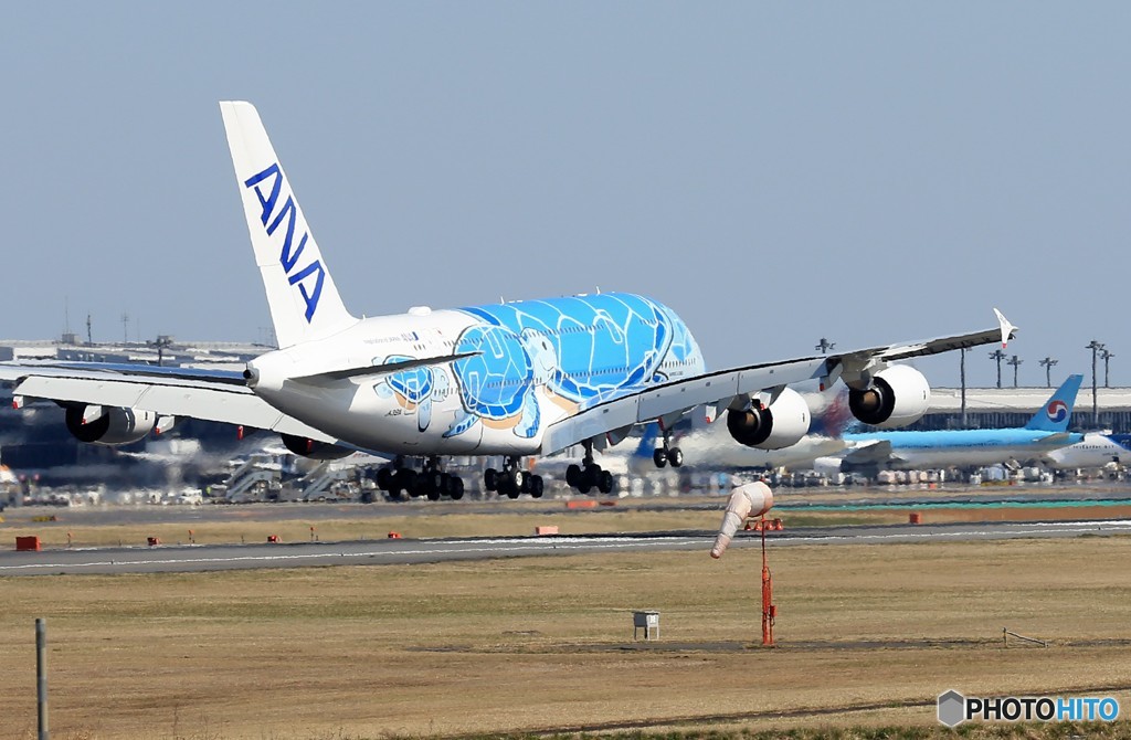 「群青色」Flying Honu A380-841 JA381A 来た～