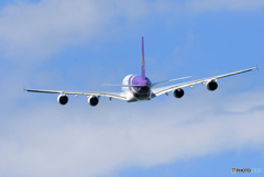 「青色が好き」 THAI A380-841 HS-TUF 飛ぶ