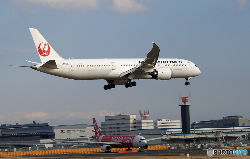 「スカイ」 JAL 787-9 JA865A 空港・風景