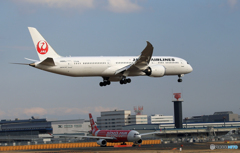 「スカイ」 JAL 787-9 JA865A 空港・風景