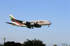 「青い空」が一番 ✈エミレーツ動物愛護機 A380-861 