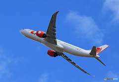 「SKY」Lion Air A330-941 HS-LAL 飛び立ちです