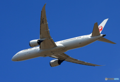 「あおいそら」 JAL 787-9 JA866J