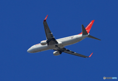 ☀「青い空」が一番 ☮Eastar Jet 737-86J HL8057