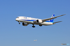 「すかい」 ANA 787-9 JA892A Landing
