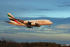 「真青の空」 EMIRATES A380-861 到着です