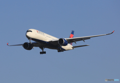 「すかい」 DLETA A350-941 N501DN   到着