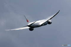 「青色が好き」 Japan Airlines 787-8 Takeoff 